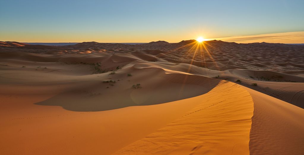 Tour privato: Esperienza tra gli affascinanti paesaggi del deserto