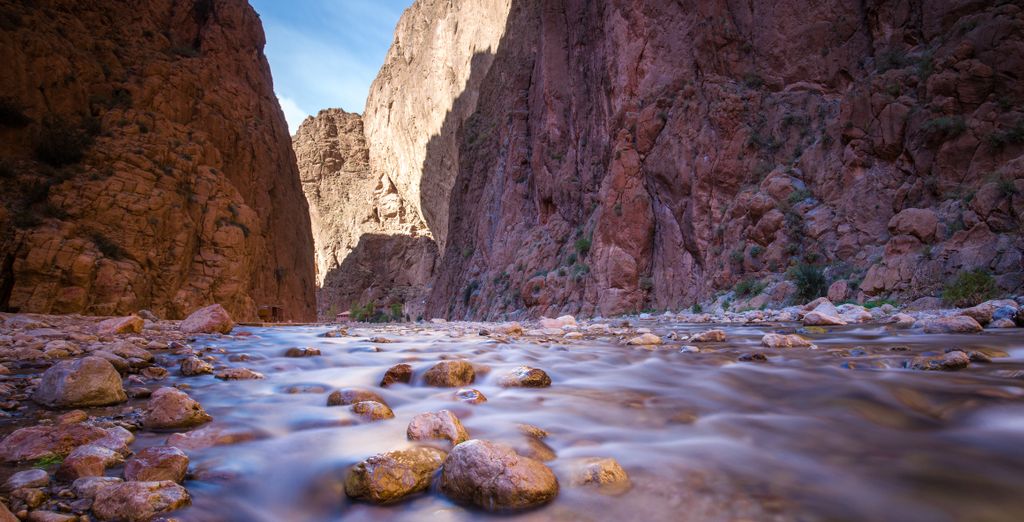 Tour privato: Esperienza tra gli affascinanti paesaggi del deserto