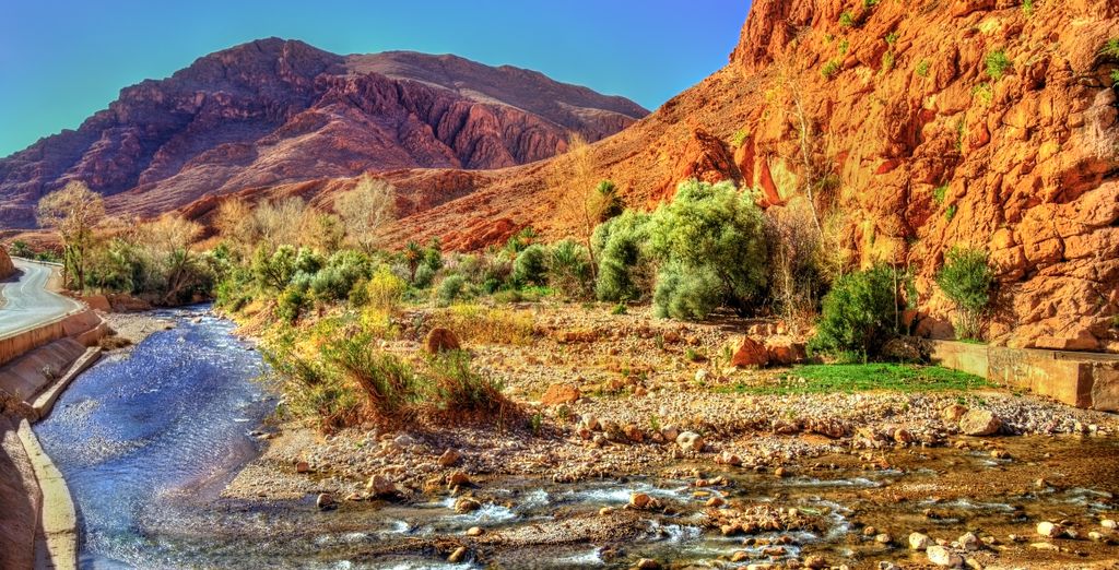 Tour privato: Esperienza tra gli affascinanti paesaggi del deserto