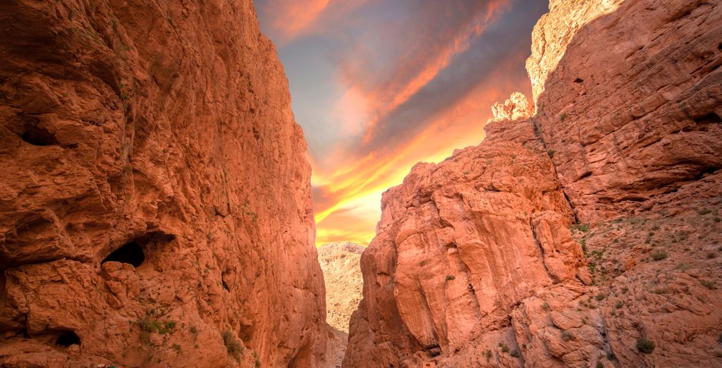 Tour privato: Esperienza tra gli affascinanti paesaggi del deserto