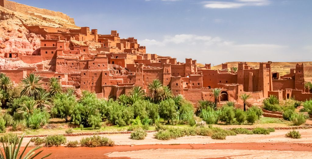 Tour privato: Esperienza tra gli affascinanti paesaggi del deserto