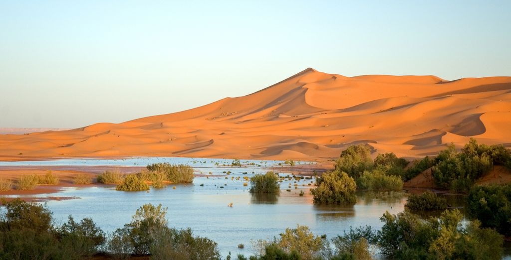 Tour privato: Esperienza tra gli affascinanti paesaggi del deserto