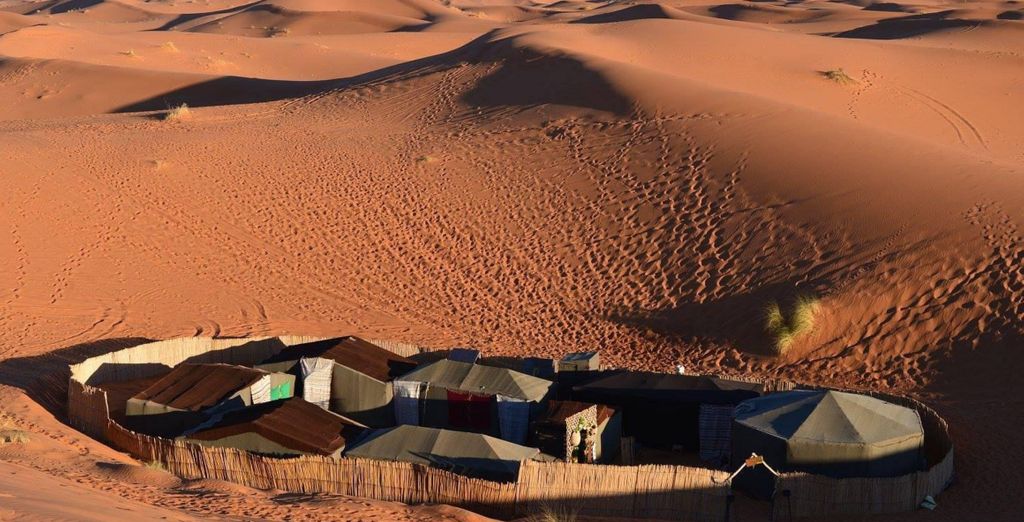 Tour privato: Esperienza tra gli affascinanti paesaggi del deserto