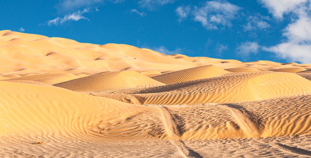 Tour privato di 5 notti a 360° alla scoperta di Salalah ed estensione all'Alila Hinu Bay 5*