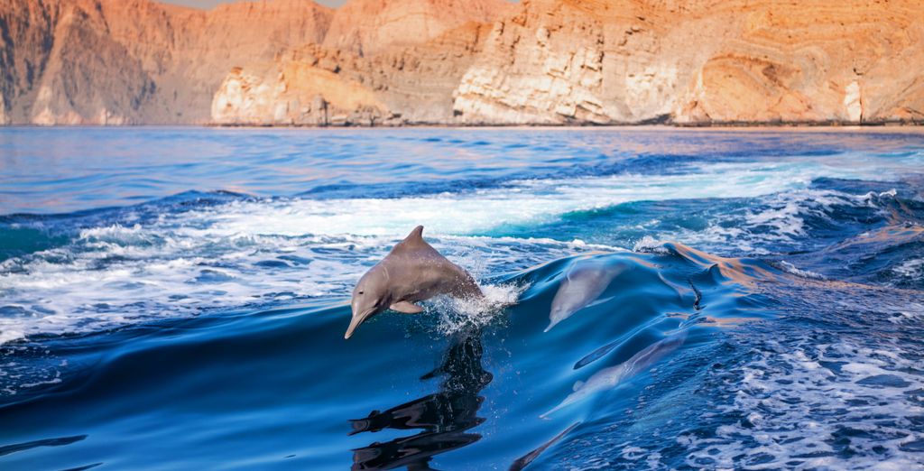 Tour privato di 5 notti a 360° alla scoperta di Salalah ed estensione all'Alila Hinu Bay 5*