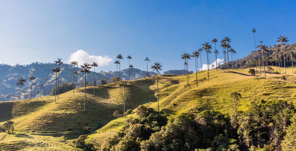 Tour di 11 notti Diario di viaggio in Sudamerica con possibile estensione 