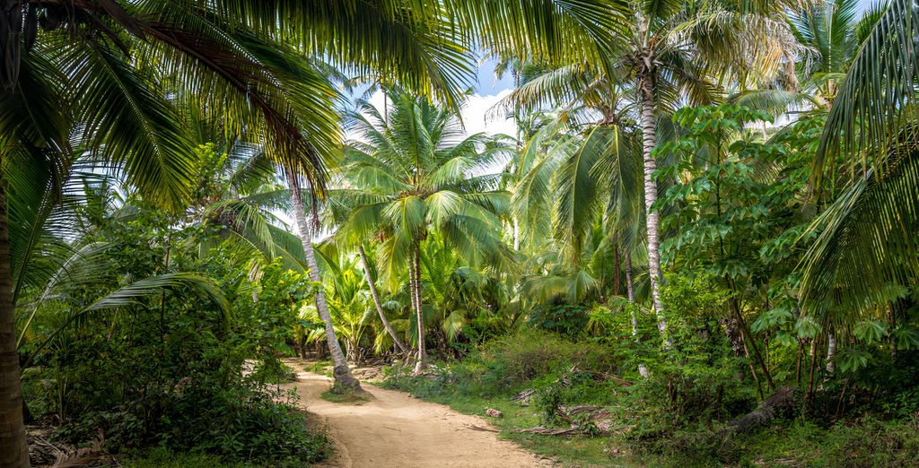 Tour di gruppo: Appuntamento in Colombia con possibile estensione sull'isola Mucura