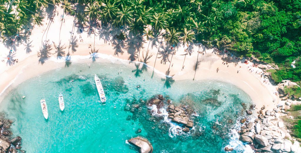 Tour di gruppo: Appuntamento in Colombia con possibile estensione sull'isola Mucura