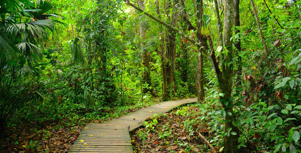 Tour di gruppo: Appuntamento in Colombia con possibile estensione sull'isola Mucura