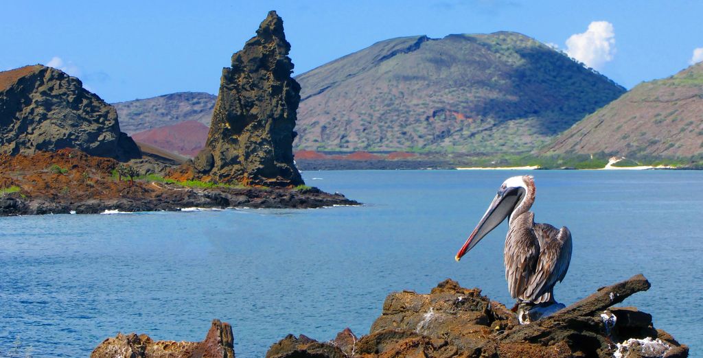 Tour privato: Galapagos, le Perle dell'Ecuador e Quito