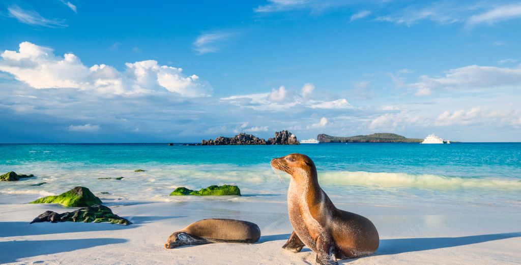 Urlaub Galapagos-Inseln