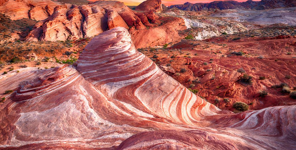 Autotour di 7 notti alla scoperta dei parchi dell'Ovest americano