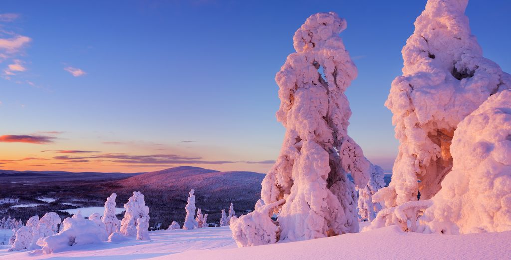Arctic Wilderness Resort 
