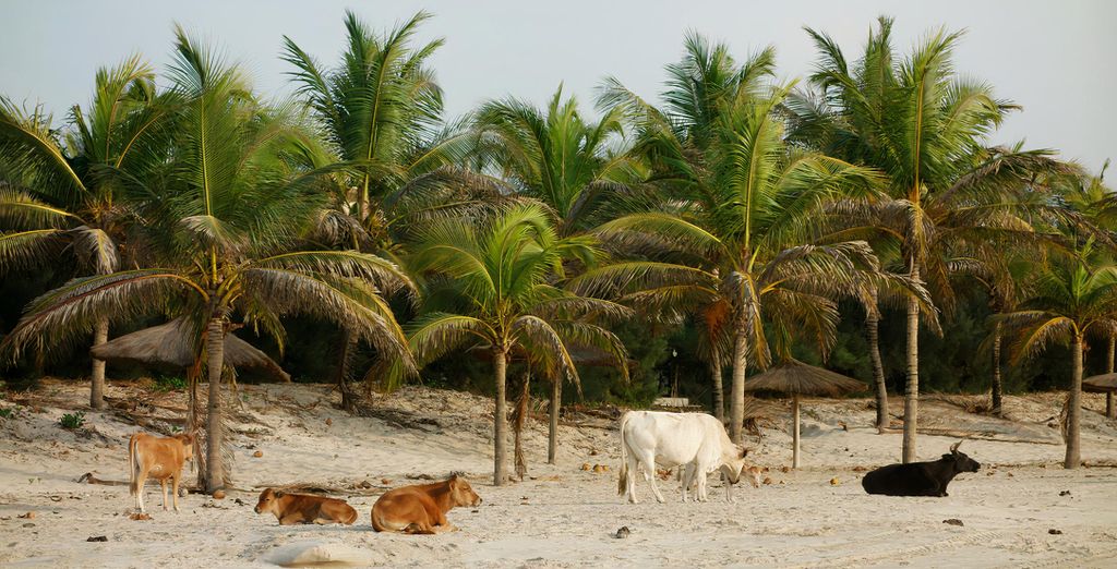 Tour di gruppo: Alla scoperta di paesaggi incredibili e fauna locale