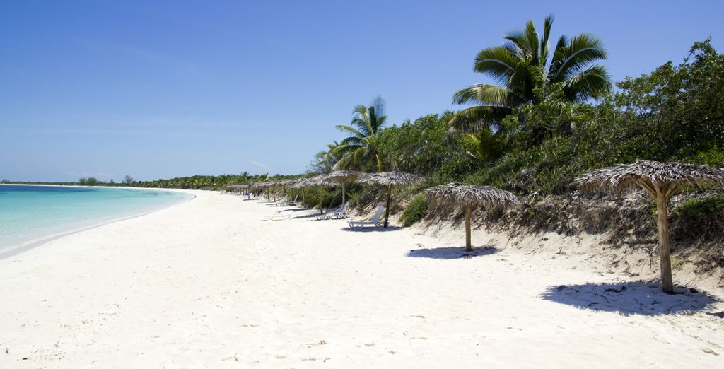 Tour "Diari di viaggio da Cuba"