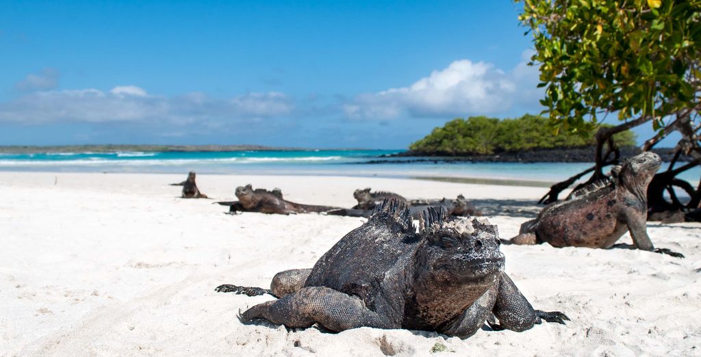 Tour privato: Avventura tra la magia delle Ande e isole paradisiache 