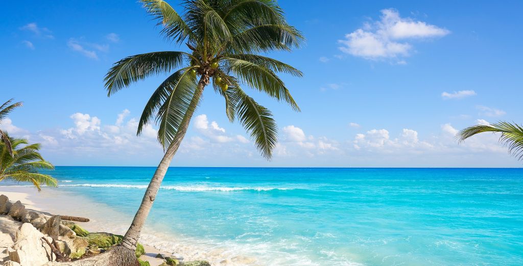 Autotour di 7 notti nello Yucatan in Haciendas con possibile estensione a Playa del Carmen