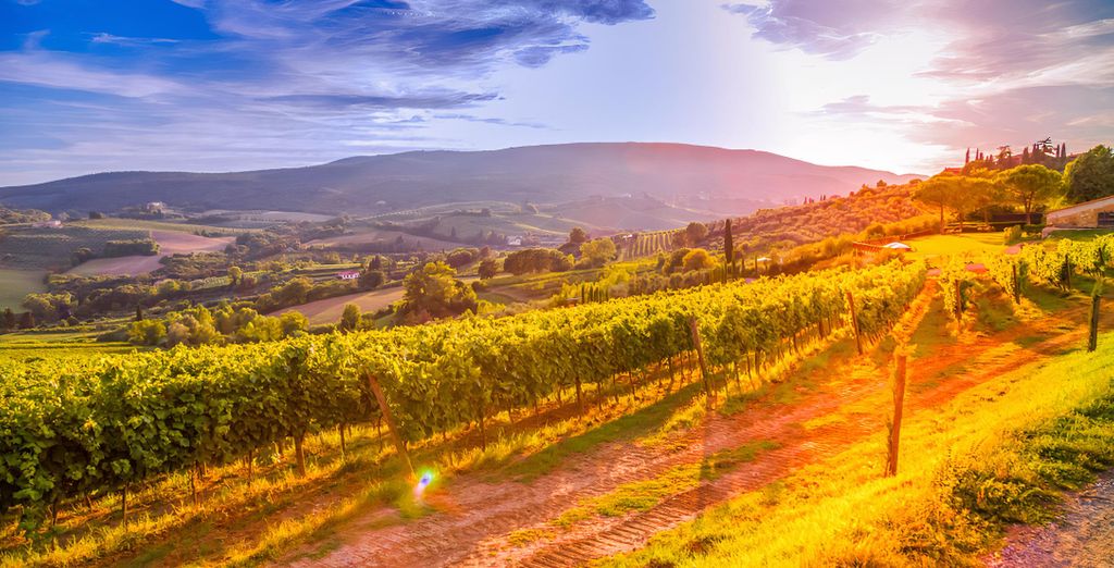 Villaggio Narrante - Le Case dei Conti Mirafiore 4*