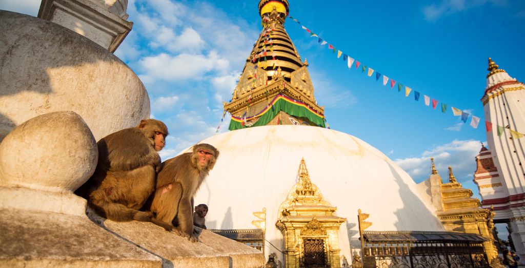 Tour privato: Il Nepal autentico