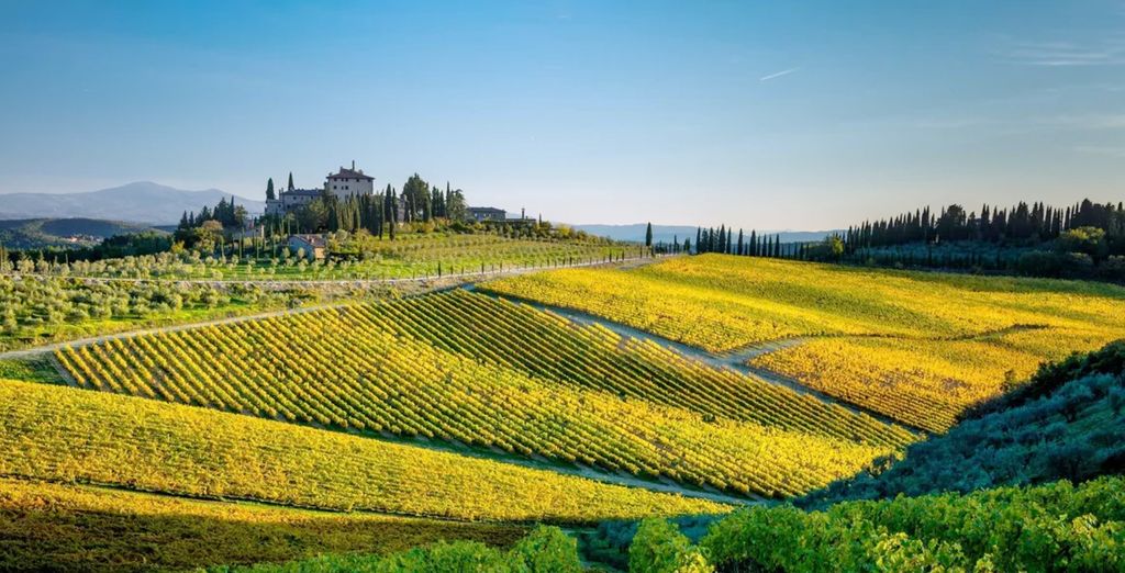 Maravillas de la Toscana entre olivares y viñedos en 7 noches