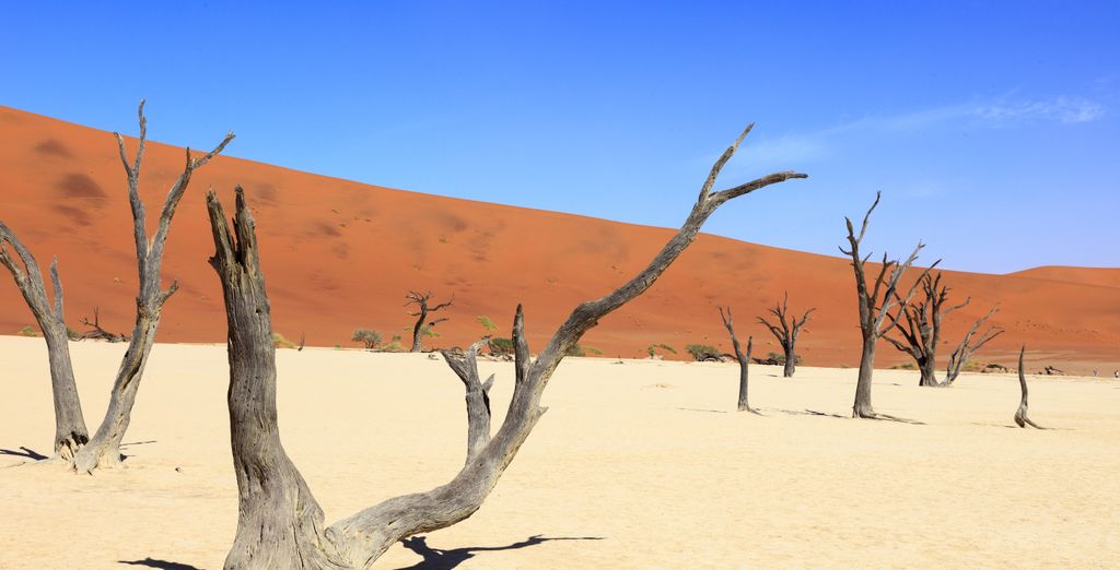 Circuito de 8 noches: Namibia desde el cielo