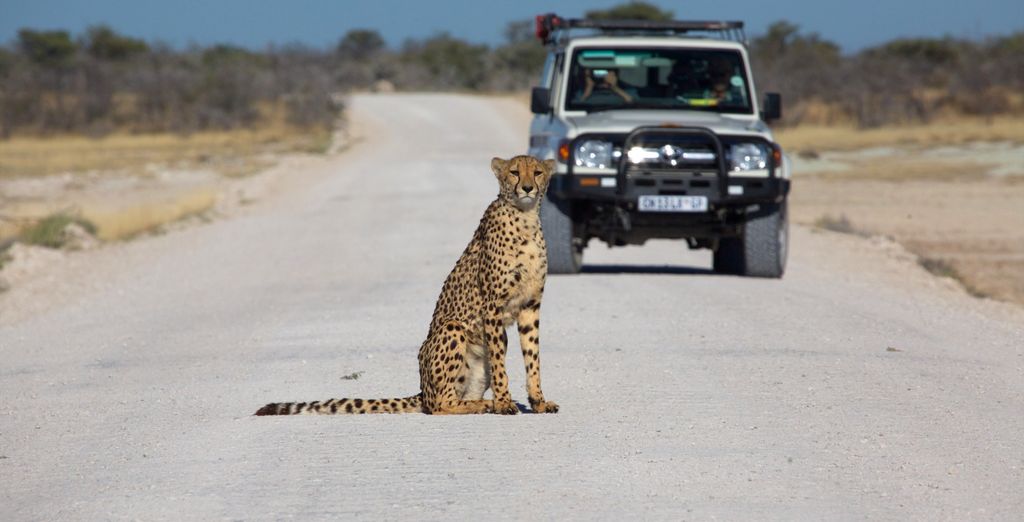 Autotour: A tutto gas nella gemma dell'Africa