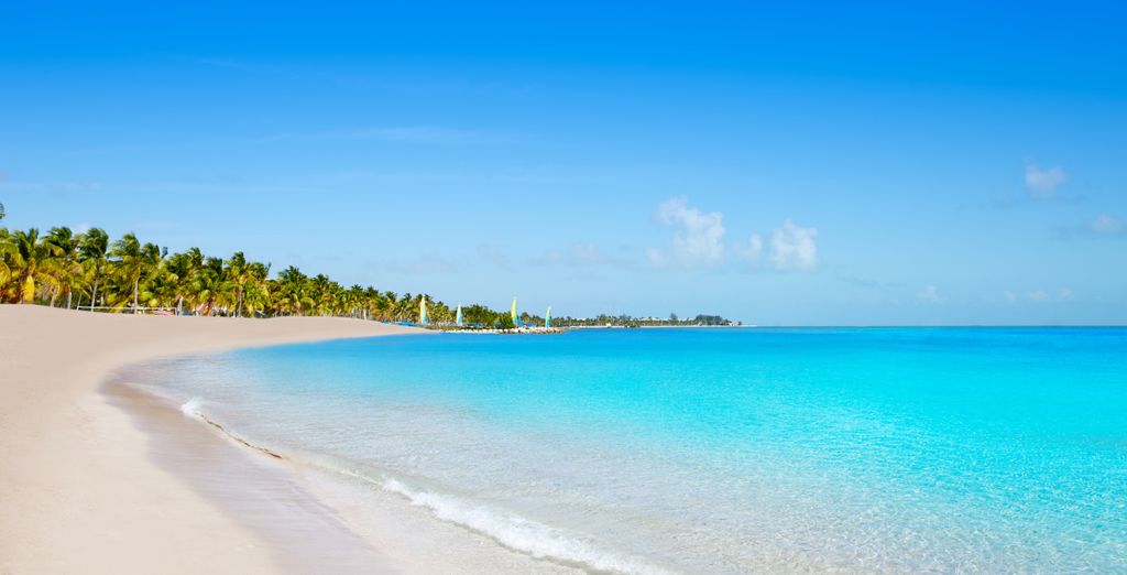 Hilton Garden Inn Brickell South con Crociera Carnival 