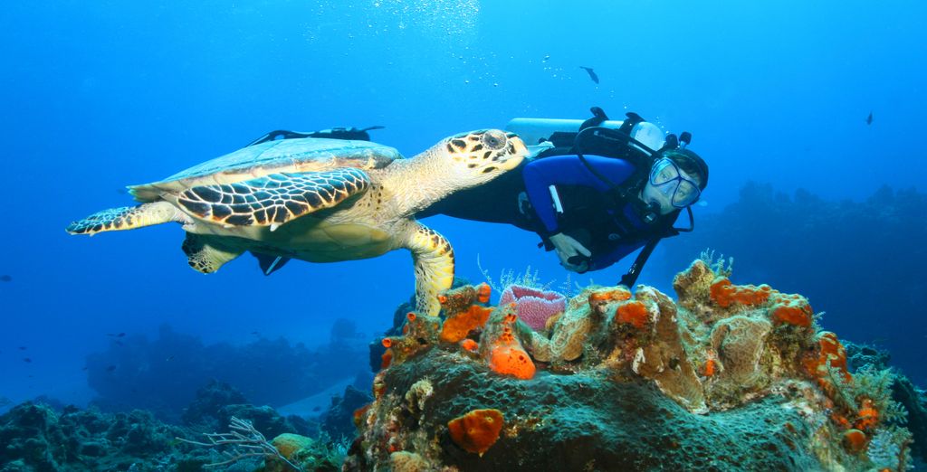Dreams Natura Resort & Spa 5* con possibile estensione a Cozumel