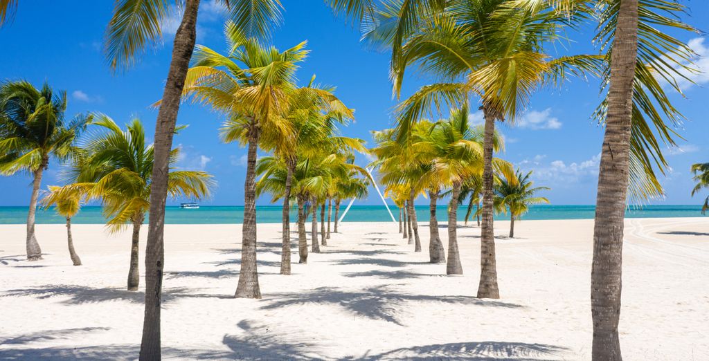 Secrets The Vine - Adults Only 5* con possibile estensione al Secrets Aura Cozumel 5* - Adults Only
