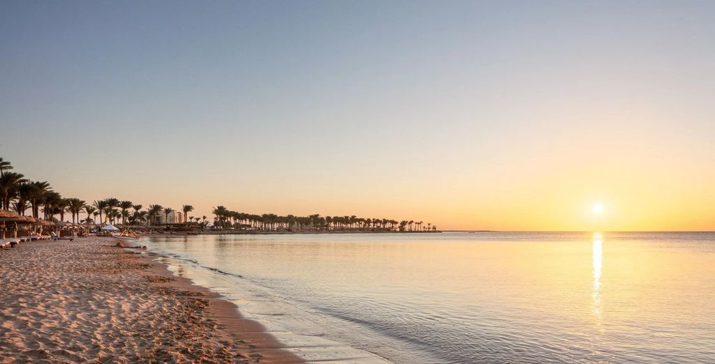 Palm Royale Resort Soma Bay 5*