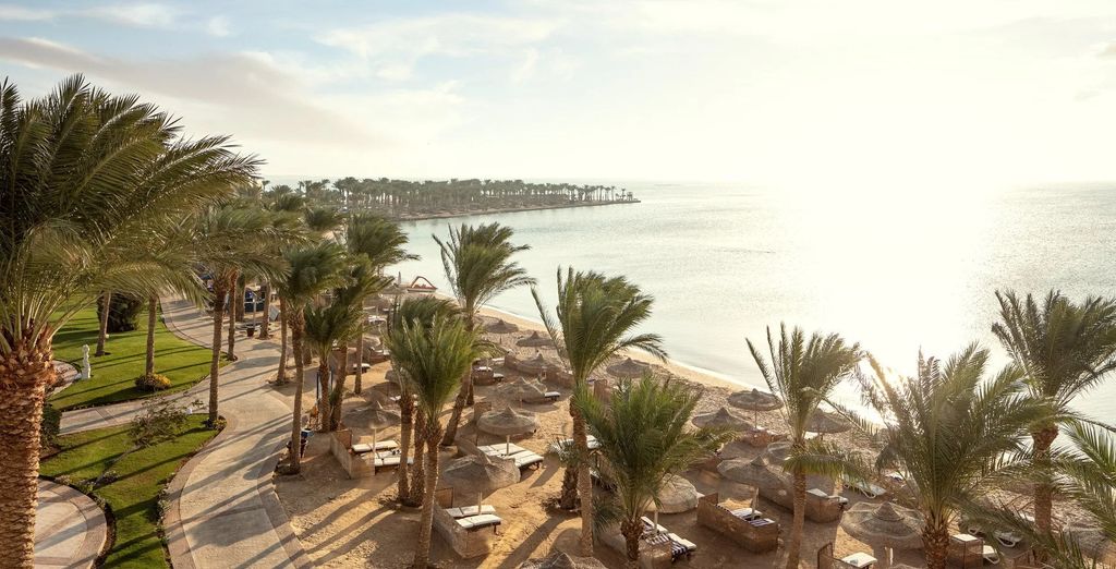 Palm Royale Resort Soma Bay 5*