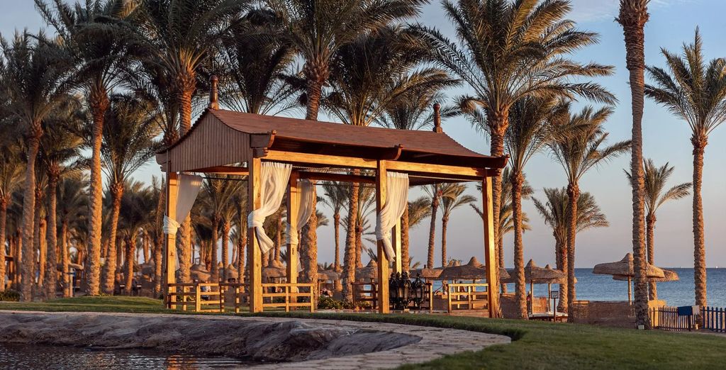 Palm Royale Resort Soma Bay 5*