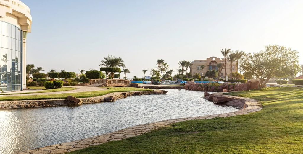 Palm Royale Resort Soma Bay 5*