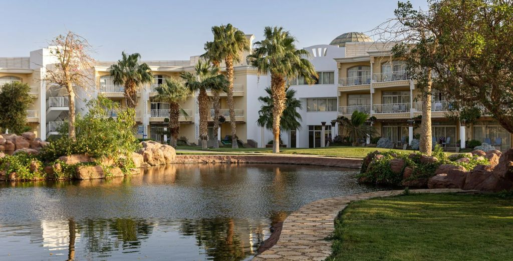 Palm Royale Resort Soma Bay 5*