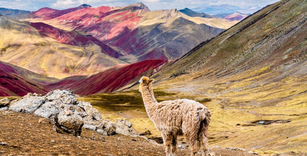 Tour di gruppo: Sentieri e tradizioni inca con possibile estensione