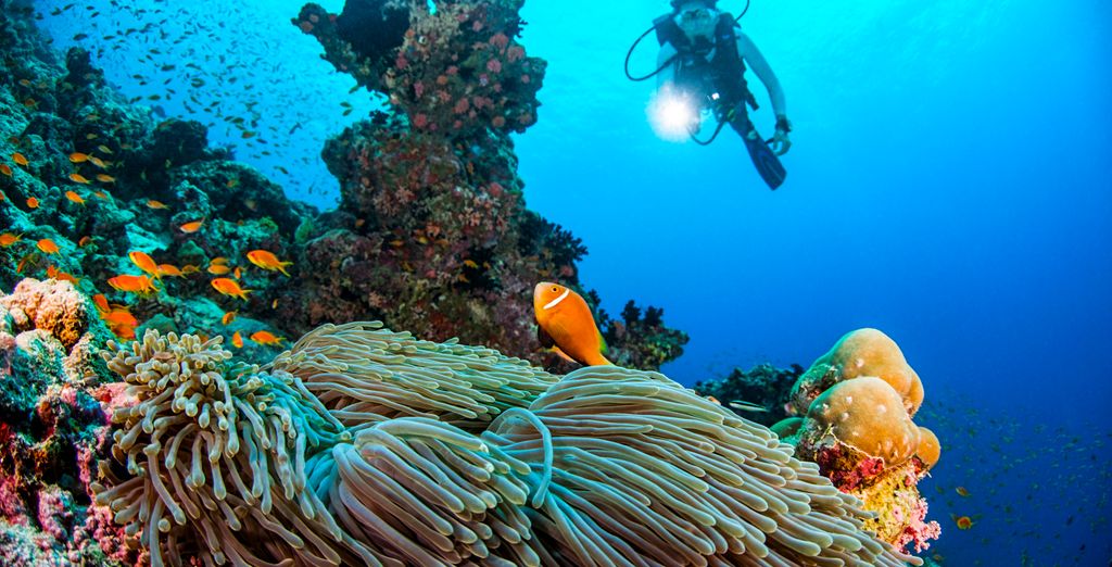 Dusit Thani Maldives 5*