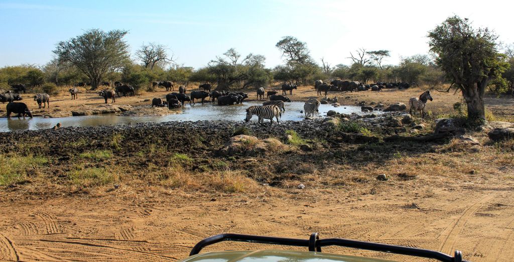 La Rose B&B e Calabash Safari Lodge 4*