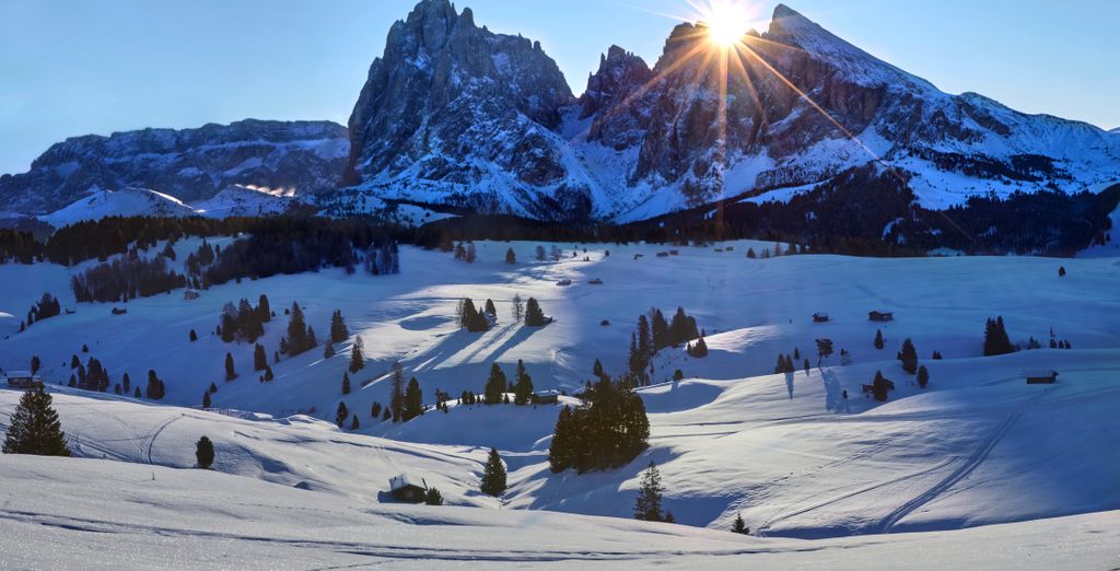 Dolomites Nature Hotel Vigilerhof 4*