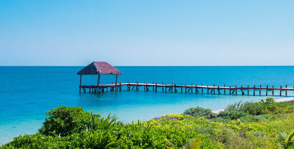 Dreams Natura Resort & Spa 5* con possibile estensione a Cozumel
