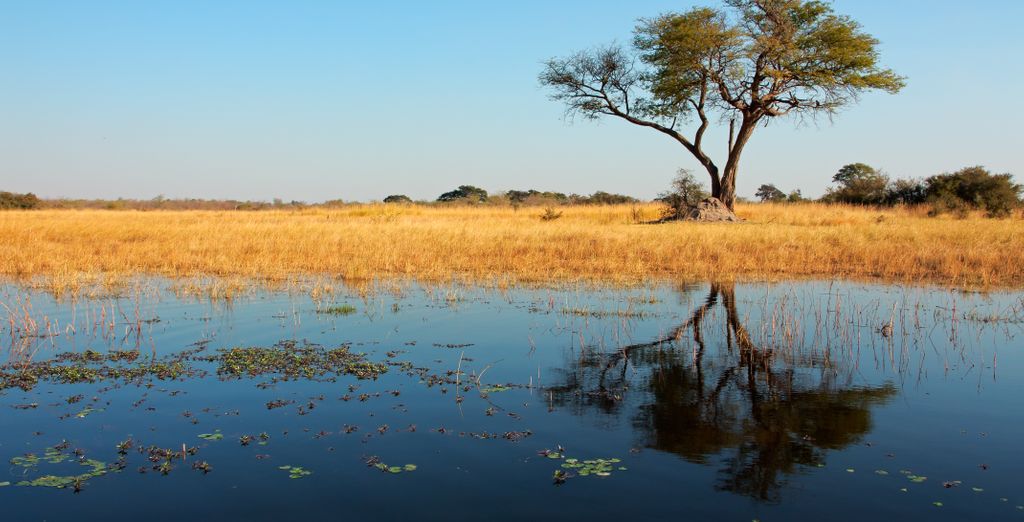 Autotour: Alla scoperta dell'Africa Sud-Occidentale