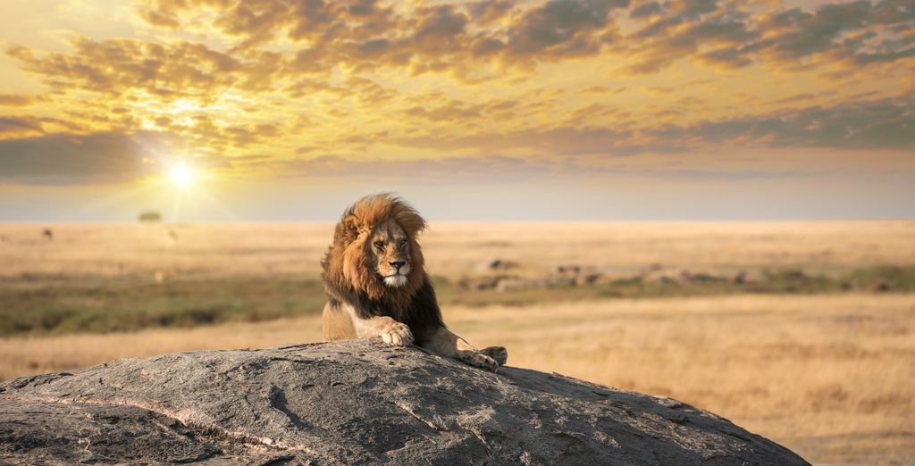 Royal Marlothi Kruger Safari Lodge & Spa 4*