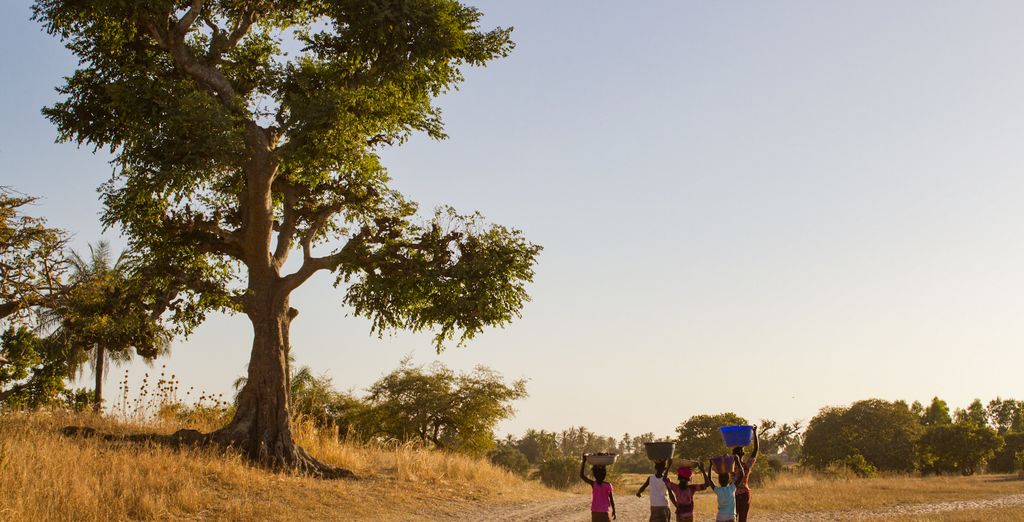 Tour di gruppo: Ecosolidarietà in un Paese autentico