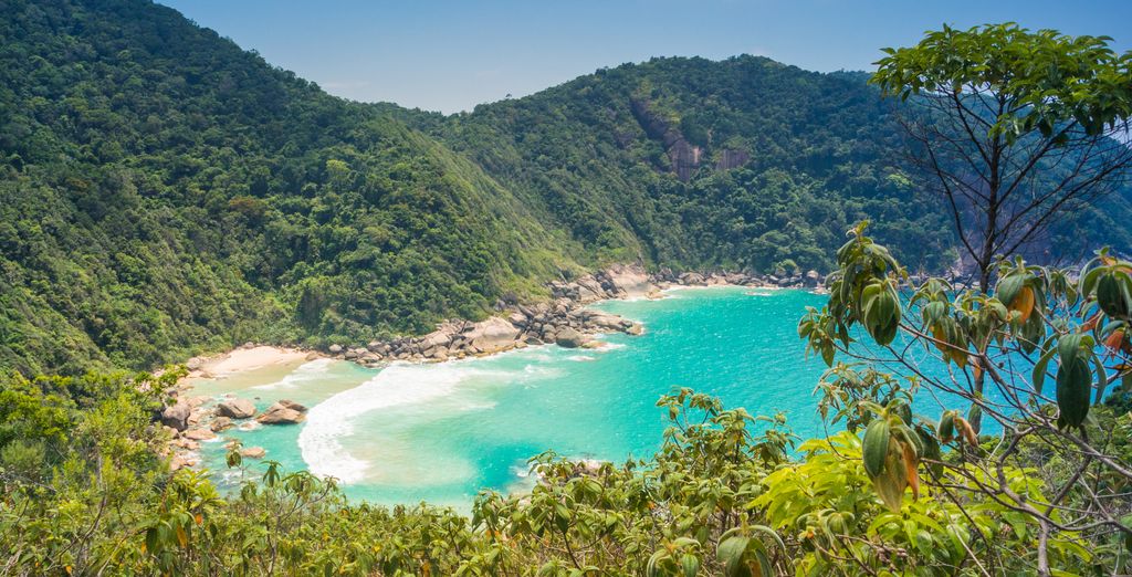 Tour di gruppo: Parentesi tropicale tra bellezze urbane e paesaggistiche