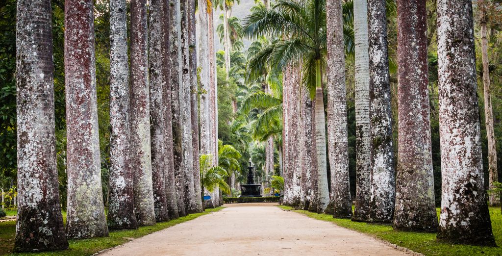 Tour di gruppo: Parentesi tropicale tra bellezze urbane e paesaggistiche