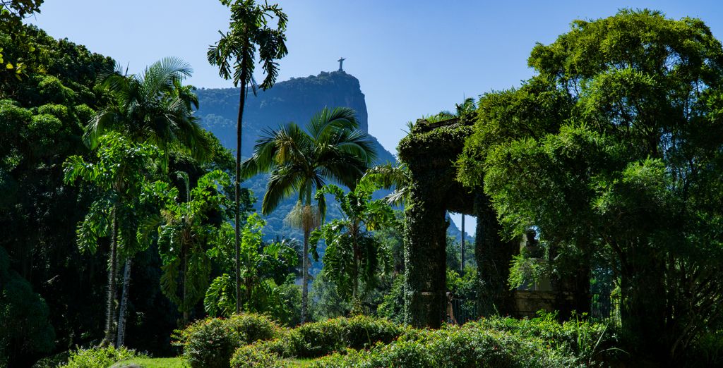 Tour di gruppo: Parentesi tropicale tra bellezze urbane e paesaggistiche
