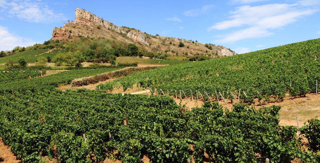 Château de Pizay 4*