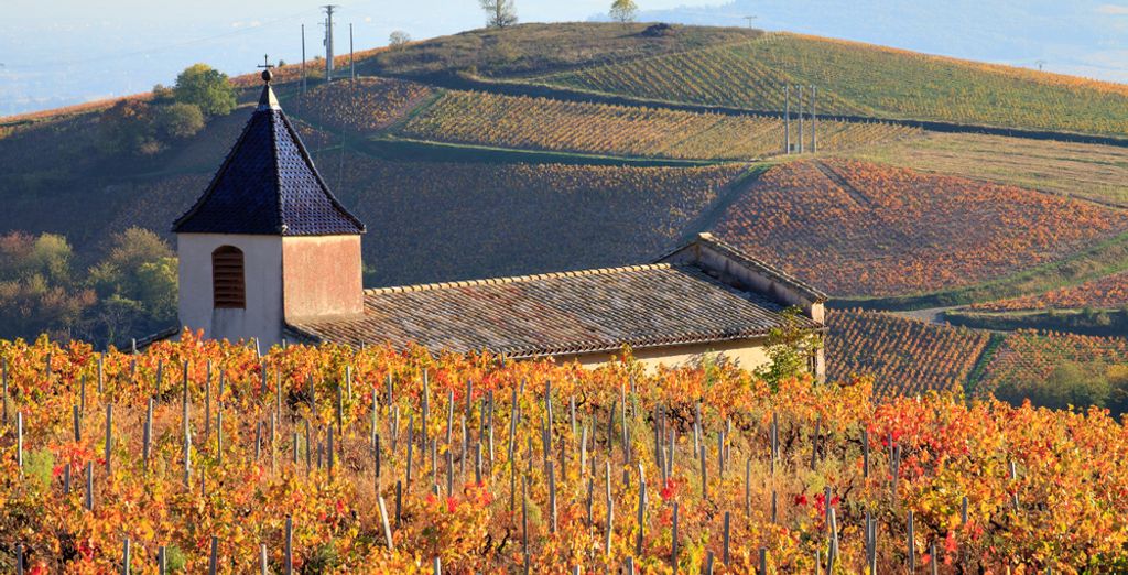 Château de Pizay 4*
