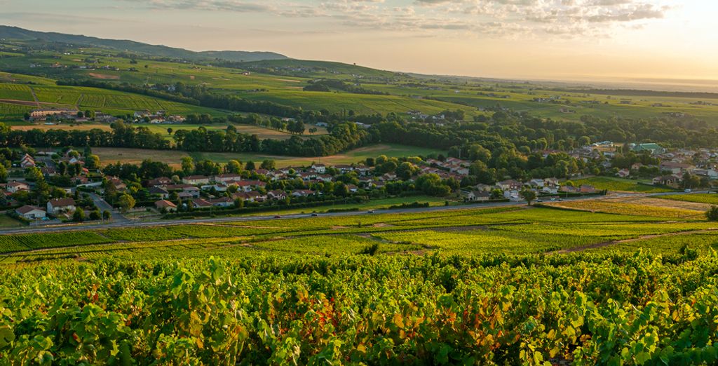 Château de Pizay 4*