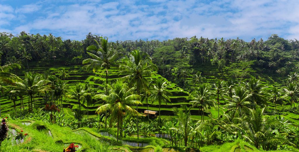 Kappa Senses Ubud 5*, Sudamala Resort, Senggigi 5* e The Elysian Villas Resort 5*