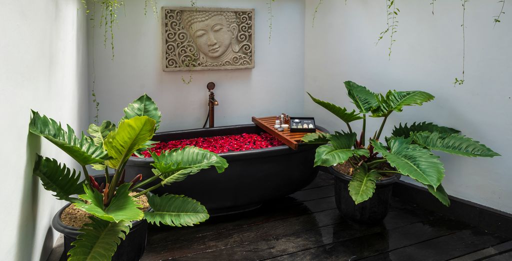 Keliki Ubud 5*, Royal Avila Boutique Lombok 5* e Avani Seminyak 5*
